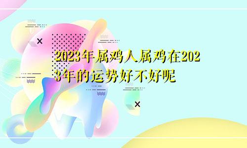 2023年属鸡人属鸡在2023年的运势好不好呢