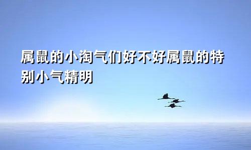 属鼠的小淘气们好不好属鼠的特别小气精明
