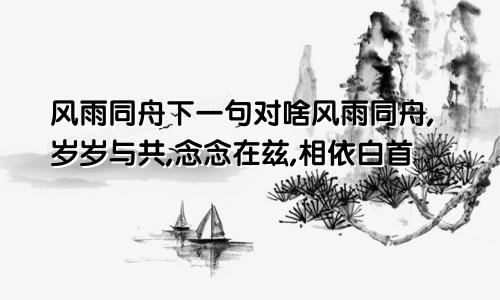 风雨同舟下一句对啥风雨同舟,岁岁与共,念念在兹,相依白首