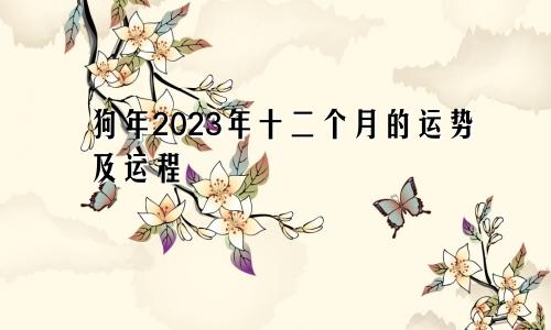 狗年2023年十二个月的运势及运程