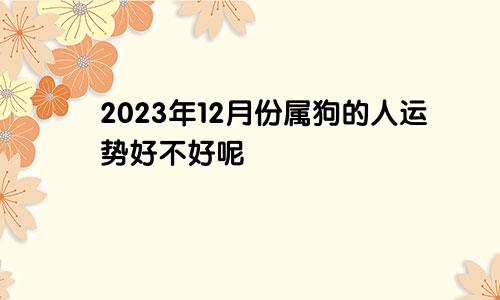 2023年12月份属狗的人运势好不好呢