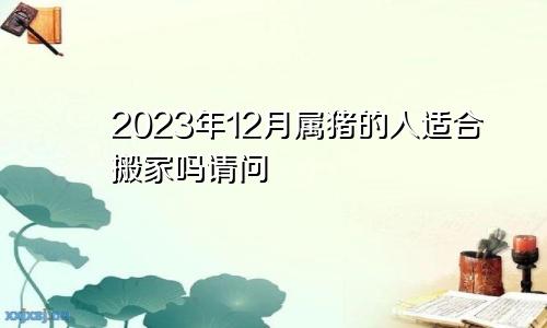 2023年12月属猪的人适合搬家吗请问