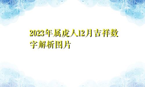 2023年属虎人12月吉祥数字解析图片