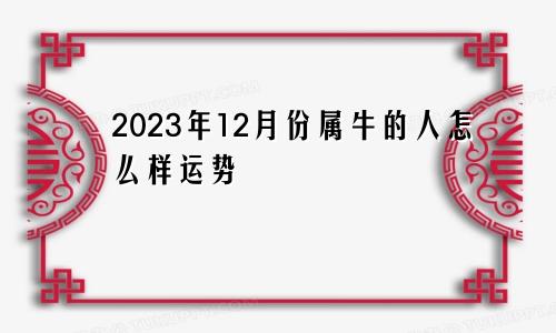 2023年12月份属牛的人怎么样运势
