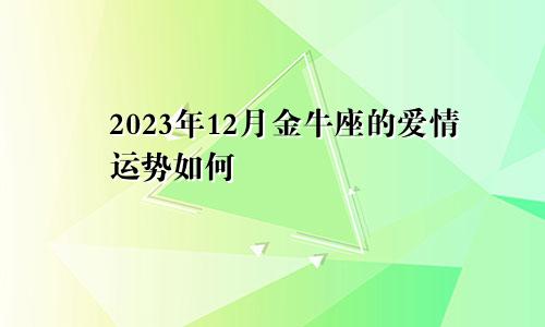 2023年12月金牛座的爱情运势如何