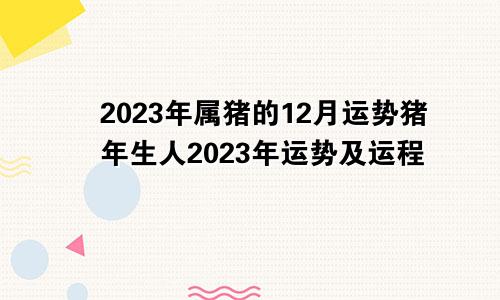 2023年属猪的12月运势猪年生人2023年运势及运程