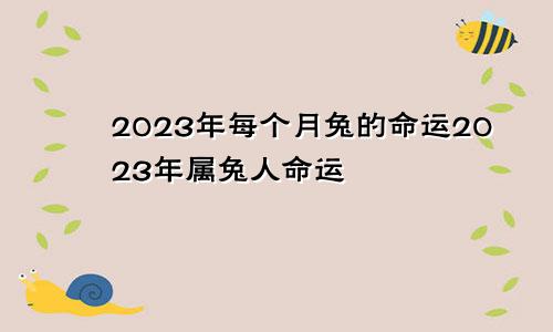 2023年每个月兔的命运2023年属兔人命运