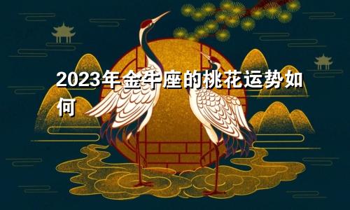 2023年金牛座的桃花运势如何