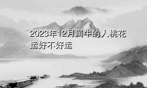 2023年12月属牛的人桃花运好不好运