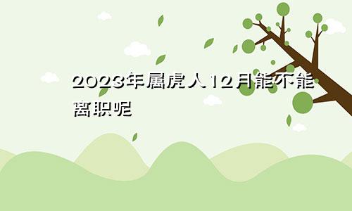 2023年属虎人12月能不能离职呢
