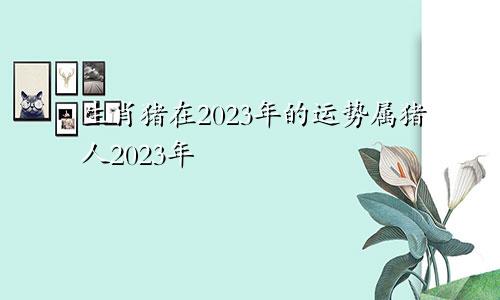 生肖猪在2023年的运势属猪人2023年