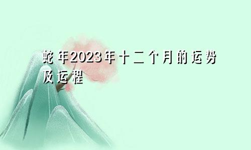 蛇年2023年十二个月的运势及运程