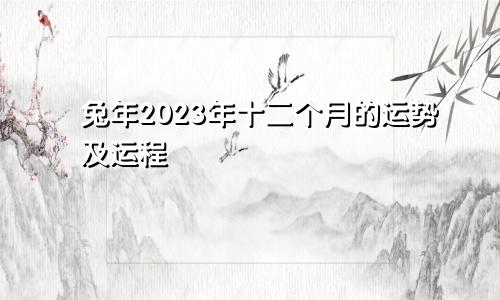 兔年2023年十二个月的运势及运程