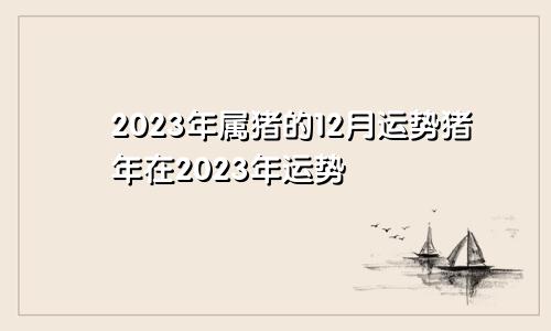 2023年属猪的12月运势猪年在2023年运势