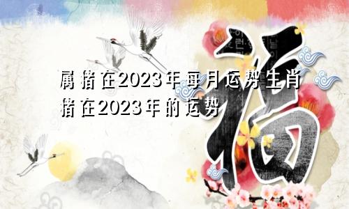 属猪在2023年每月运势生肖猪在2023年的运势