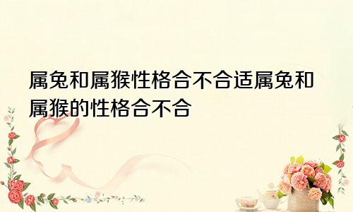 属兔和属猴性格合不合适属兔和属猴的性格合不合