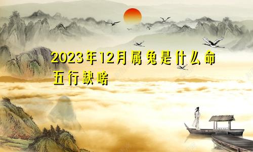 2023年12月属兔是什么命五行缺啥
