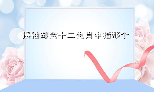 摆袖却金十二生肖中指那个