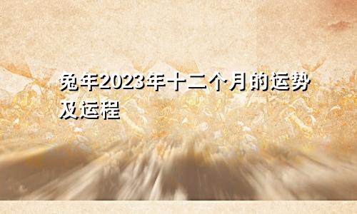 兔年2023年十二个月的运势及运程