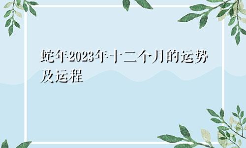 蛇年2023年十二个月的运势及运程