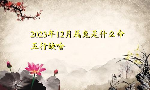 2023年12月属兔是什么命五行缺啥