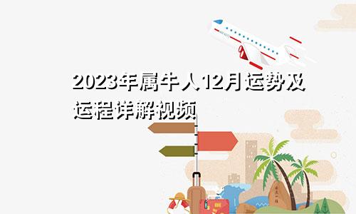 2023年属牛人12月运势及运程详解视频
