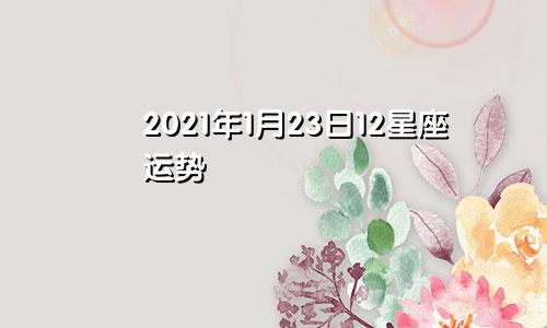 2021年1月23日12星座运势