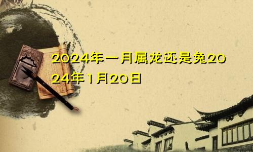 2024年一月属龙还是兔2024年1月20日