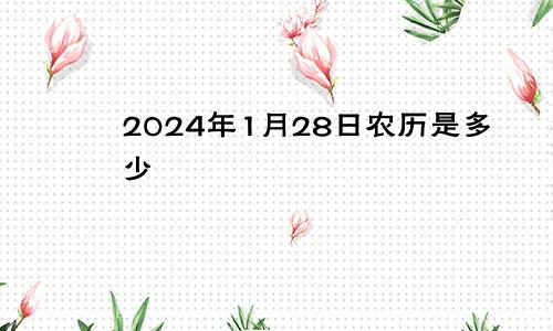 2024年1月28日农历是多少