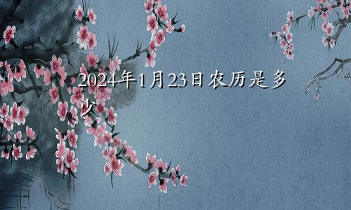 2024年1月23日农历是多少