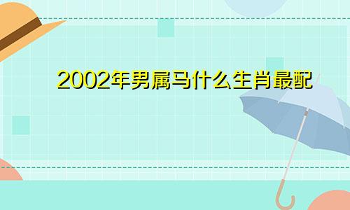 2002年男属马什么生肖最配