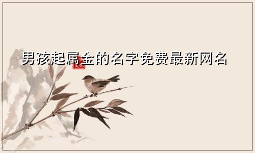男孩起属金的名字免费最新网名