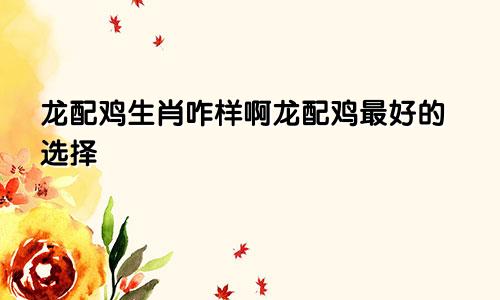龙配鸡生肖咋样啊龙配鸡最好的选择