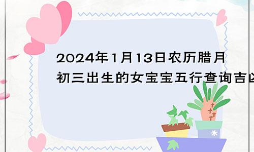 2024年1月13日农历腊月初三出生的女宝宝五行查询吉凶