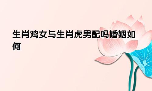 生肖鸡女与生肖虎男配吗婚姻如何