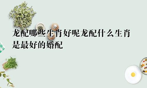 龙配哪些生肖好呢龙配什么生肖是最好的婚配