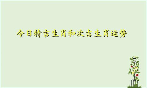今日特吉生肖和次吉生肖运势