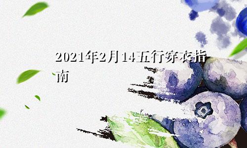 2021年2月14五行穿衣指南