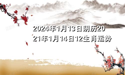 2024年1月13日阴历2021年1月14日12生肖运势
