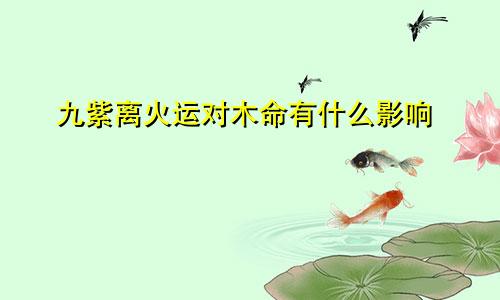 九紫离火运对木命有什么影响