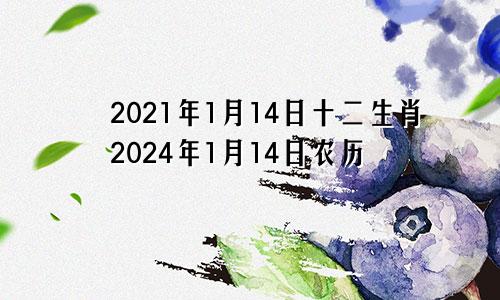 2021年1月14日十二生肖2024年1月14日农历