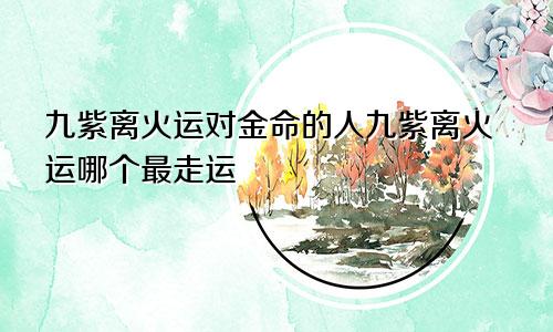 九紫离火运对金命的人九紫离火运哪个最走运