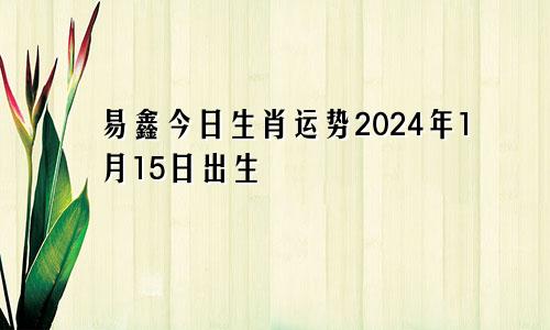 易鑫今日生肖运势2024年1月15日出生