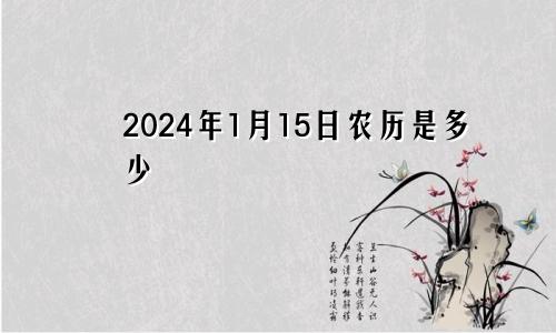 2024年1月15日农历是多少