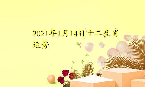 2021年1月14日十二生肖运势