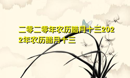 二零二零年农历腊月十三2022年农历腊月十三