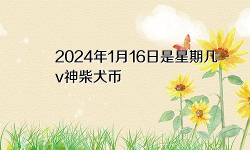 2024年1月16日是星期几v神柴犬币