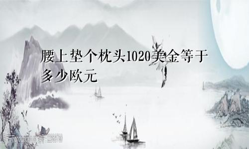 腰上垫个枕头1020美金等于多少欧元