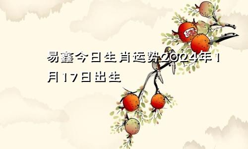 易鑫今日生肖运势2024年1月17日出生