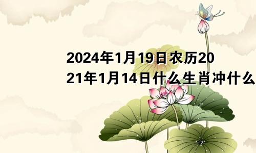 2024年1月19日农历2021年1月14日什么生肖冲什么生肖